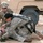 Casualty evacuation drill