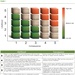 FIGURE 1 - RATING RISK