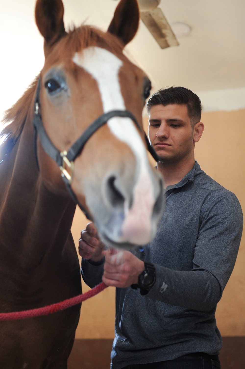 USS Theodore Roosevelt (CVN 71) Deployment FY 2018