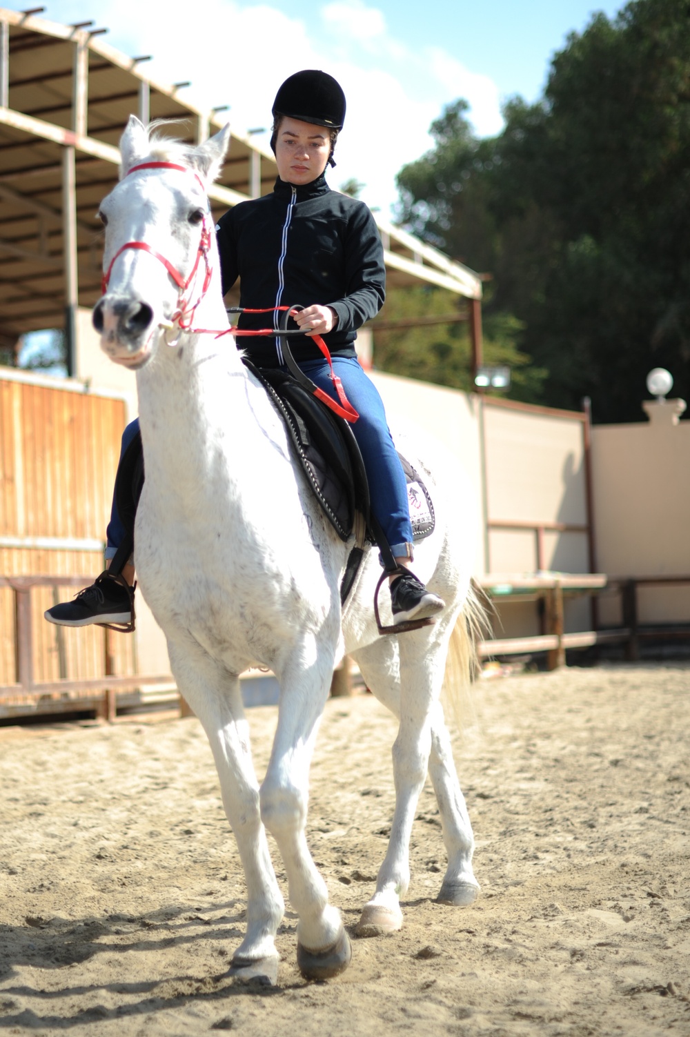 USS Theodore Roosevelt (CVN 71) Deployment FY 2018