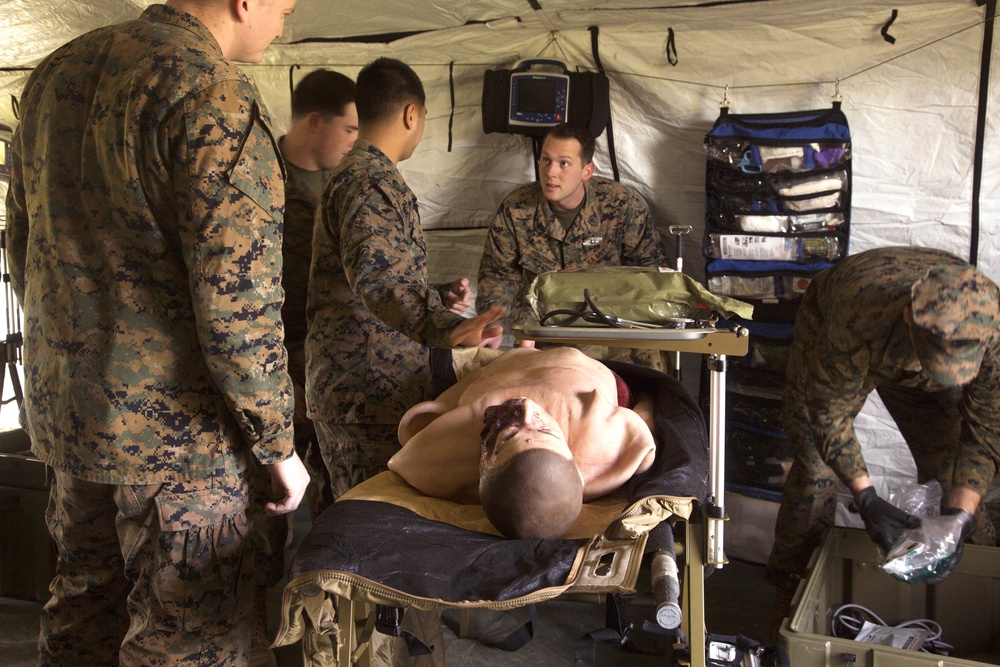 Critical care teamwork | Navy, Army, and Air Force personnel perform en-route medical care training