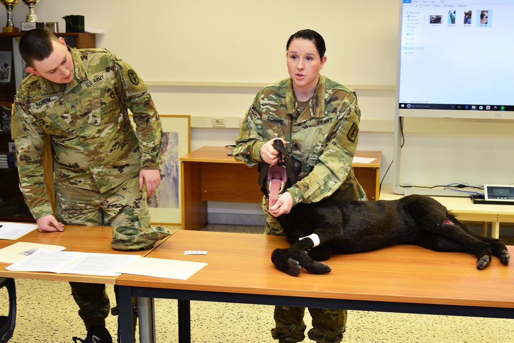 Public Health Activity Italy (PHA) Animal Care Specialists