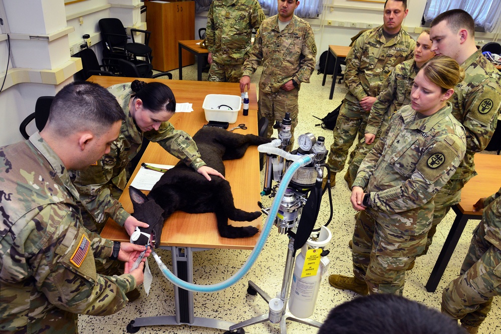 Public Health Activity Italy (PHA) Animal Care Specialists