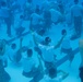 BRPC underwater training