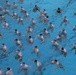 BRPC underwater training