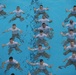 BRPC underwater training