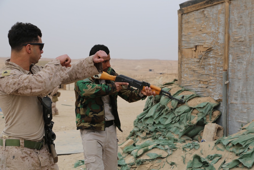 Door and Window Clearing