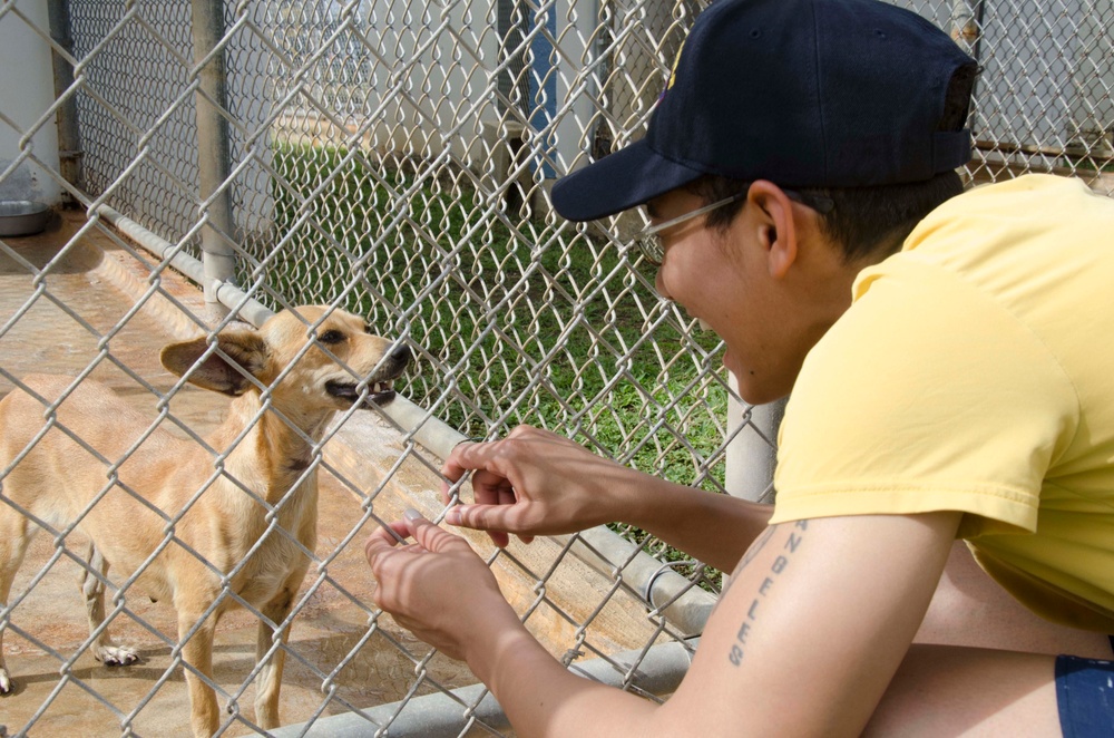 Frank Cable Sailors Volunteer at Local Guam Animal Shelter