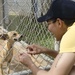 Frank Cable Sailors Volunteer at Local Guam Animal Shelter