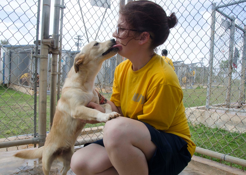 Frank Cable Sailors Volunteer at Local Guam Animal Shelter