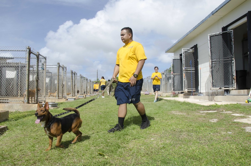 Frank Cable Sailors Volunteer at Local Guam Animal Shelter