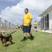 Frank Cable Sailors Volunteer at Local Guam Animal Shelter