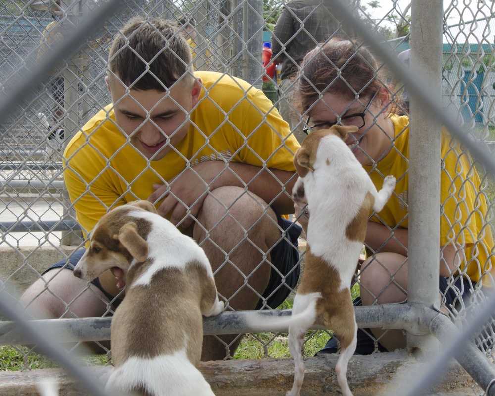 Frank Cable Sailors Volunteer at Local Guam Animal Shelter