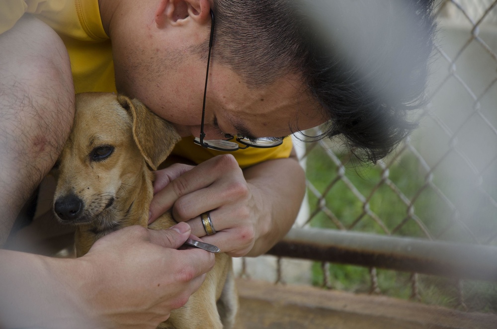 Frank Cable Sailors Volunteer at Local Guam Animal Shelter
