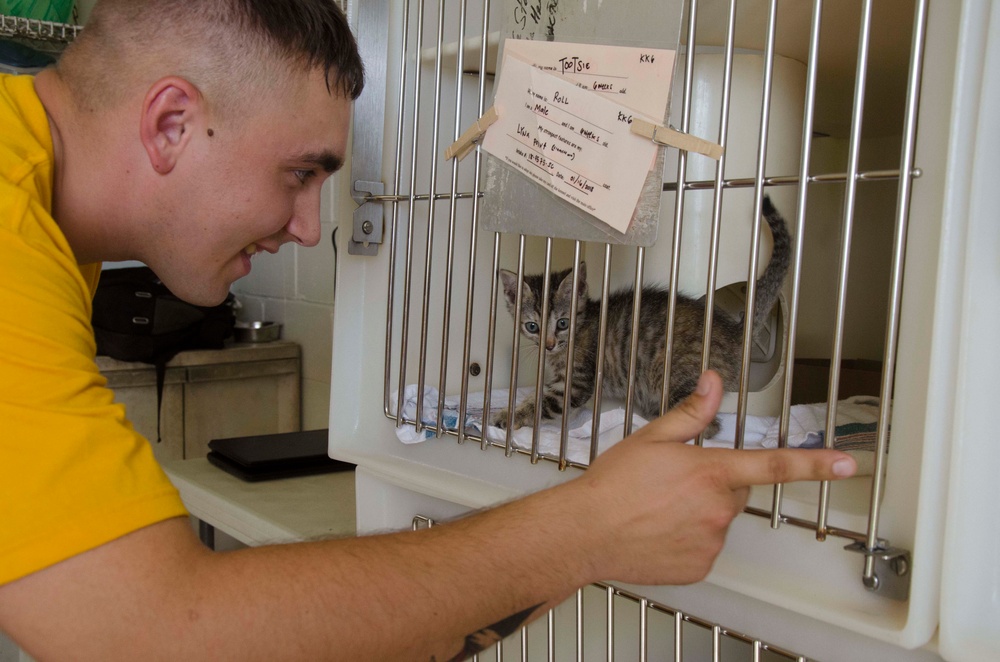 Frank Cable Sailors Volunteer at Local Guam Animal Shelter