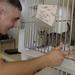 Frank Cable Sailors Volunteer at Local Guam Animal Shelter
