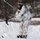 Frozen Badger: Ski Course Frozen Badger: Ski Course
