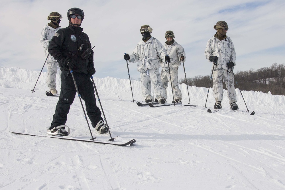 Frozen Badger: Ski Course