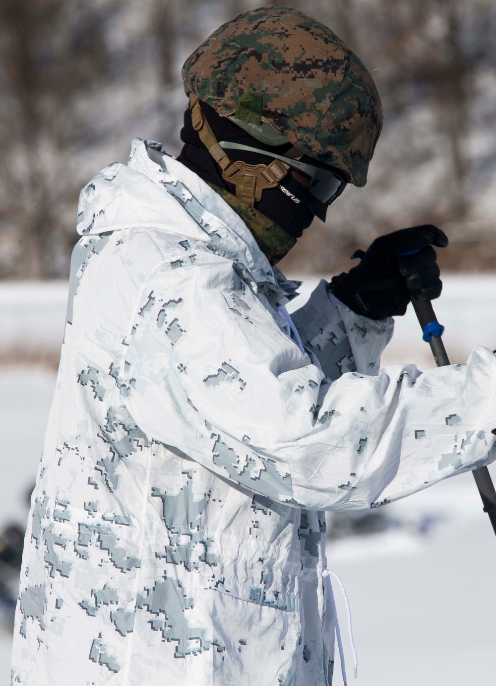 Frozen Badger: Ski Course