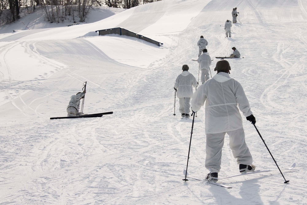Frozen Badger: Ski Course