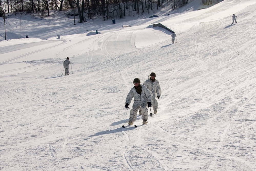 Frozen Badger: Ski Course