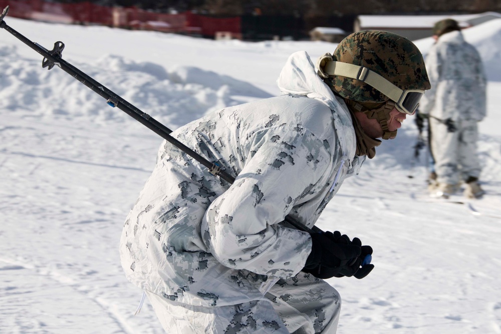 Frozen Badger: Ski Course