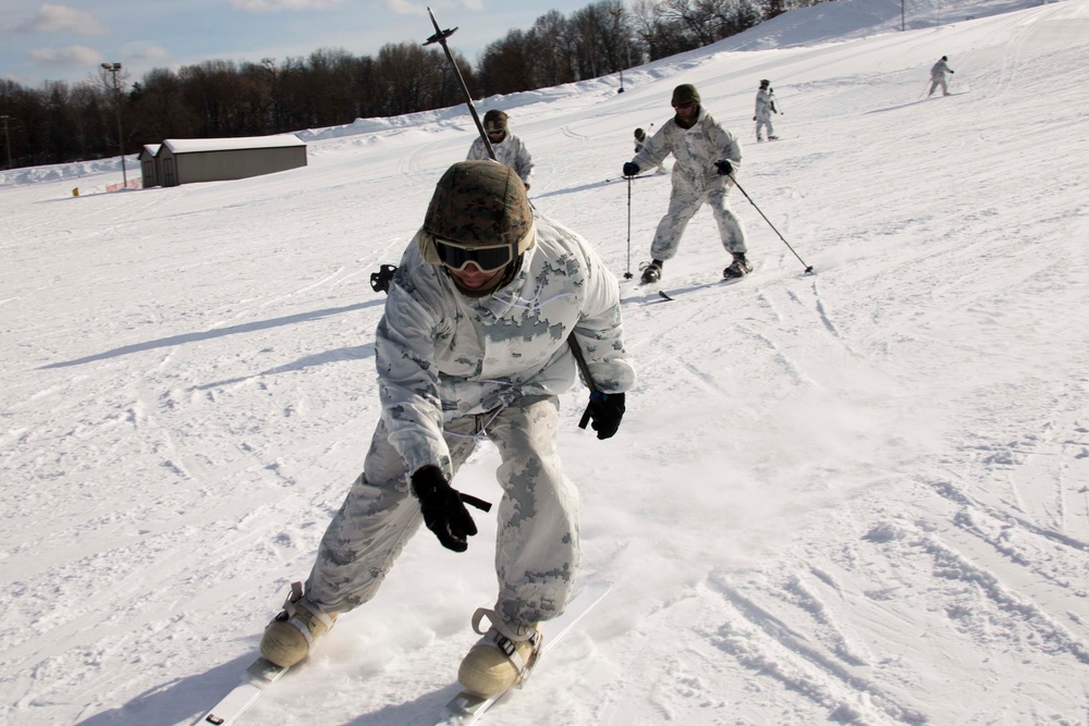 Frozen Badger: Ski Course