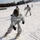 Frozen Badger: Ski Course Frozen Badger: Ski Course