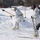 Frozen Badger: Ski Course Frozen Badger: Ski Course
