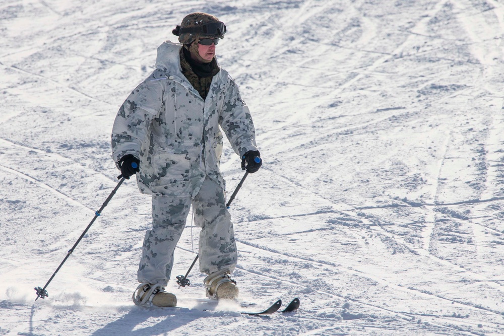 Frozen Badger: Ski Course