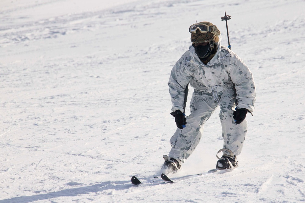 Frozen Badger: Ski Course
