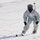 Frozen Badger: Ski Course Frozen Badger: Ski Course