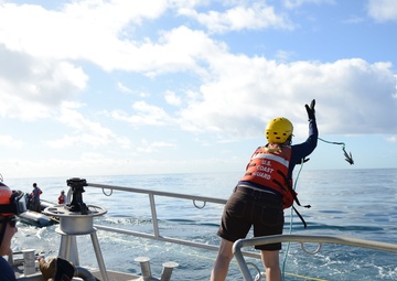 Coast Guard, NOAA conduct whale disentanglement training