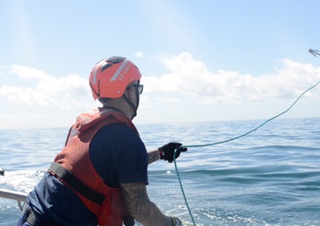 Coast Guard, NOAA conduct whale disentanglement training
