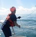 Coast Guard, NOAA conduct whale disentanglement training