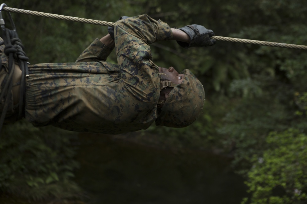 Into The Woods | 3rd MLG Communication Marines get a taste of the jungle
