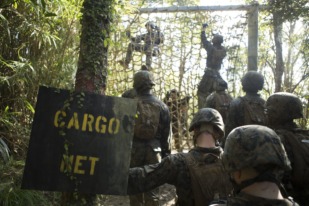 Into The Woods | 3rd MLG Comm Marines get a taste of the jungle