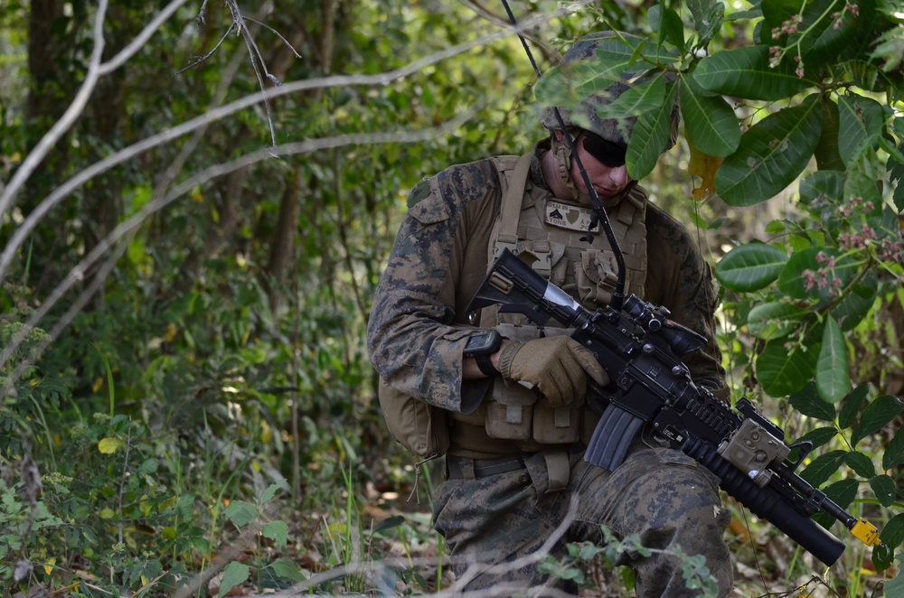 Cobra Gold 18: Marines conduct jungle training at Phu Lamyai, Kingdom of Thailand