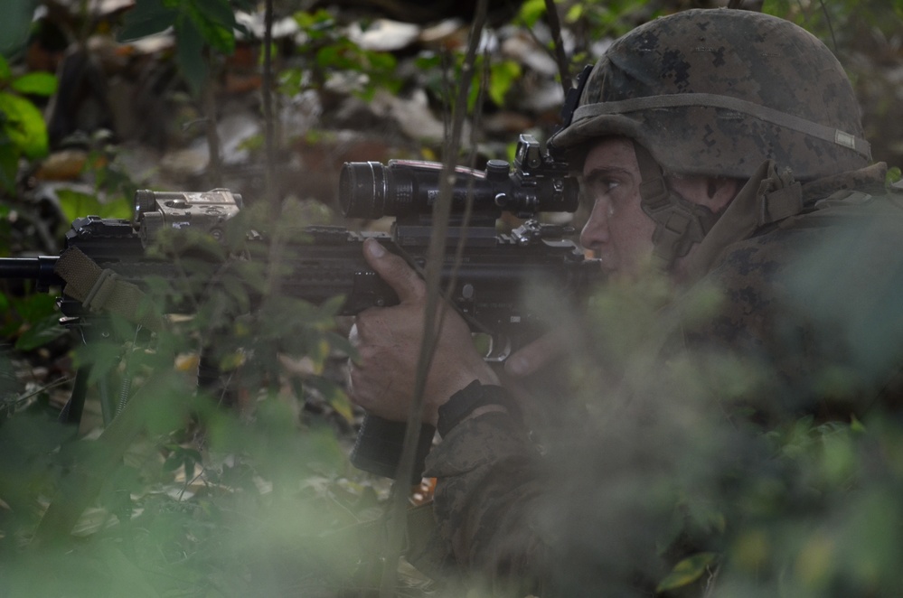 Cobra Gold 18: Marines conduct jungle training at Phu Lamyai, Kingdom of Thailand