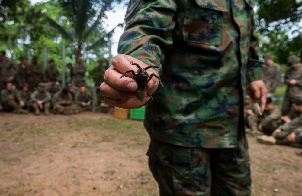 Americas Battalion attends jungle survival training