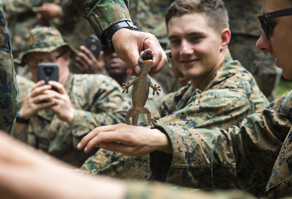 Americas Battalion attends jungle survival training