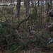 Battle Group Poland conducts exercise Puma
