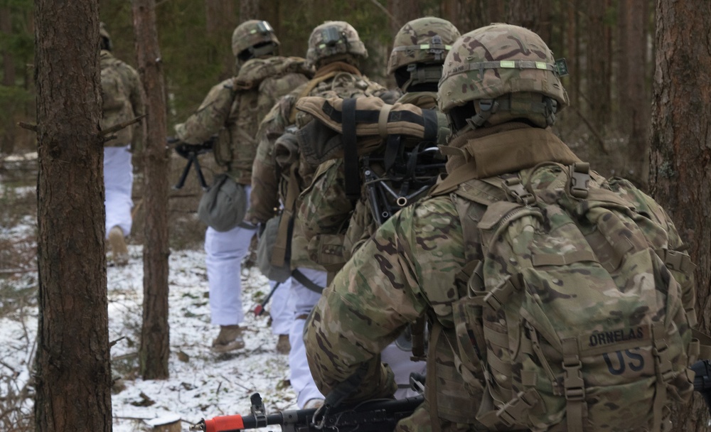 Battle Group Poland conducts exercise Puma