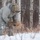 Braving the cold: 91st SFG participates in survival exercise