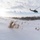 Braving the cold: 91st SFG participates in survival exercise