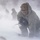 Braving the cold: 91st SFG participates in survival exercise
