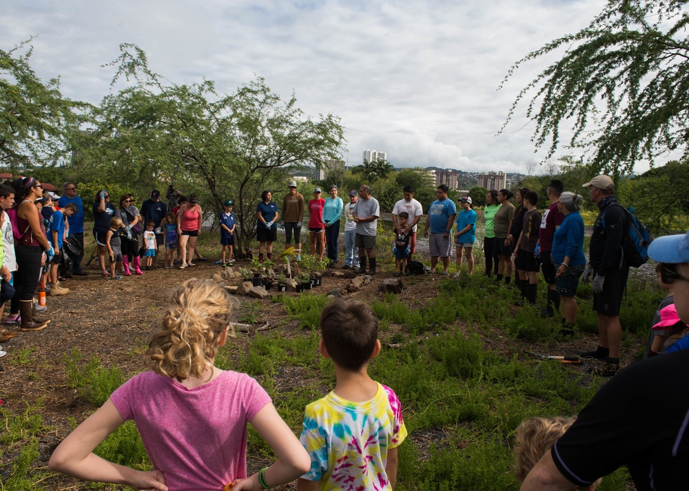 Loko Pa'aiau Fishpond Cleanup