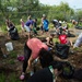 Loko Pa'aiau Fishpond Cleanup