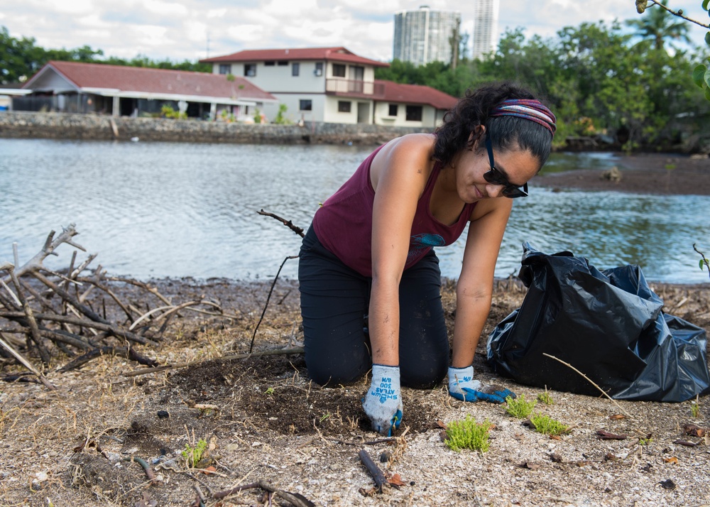 Loko Pa'aiau Fishpond Cleanup