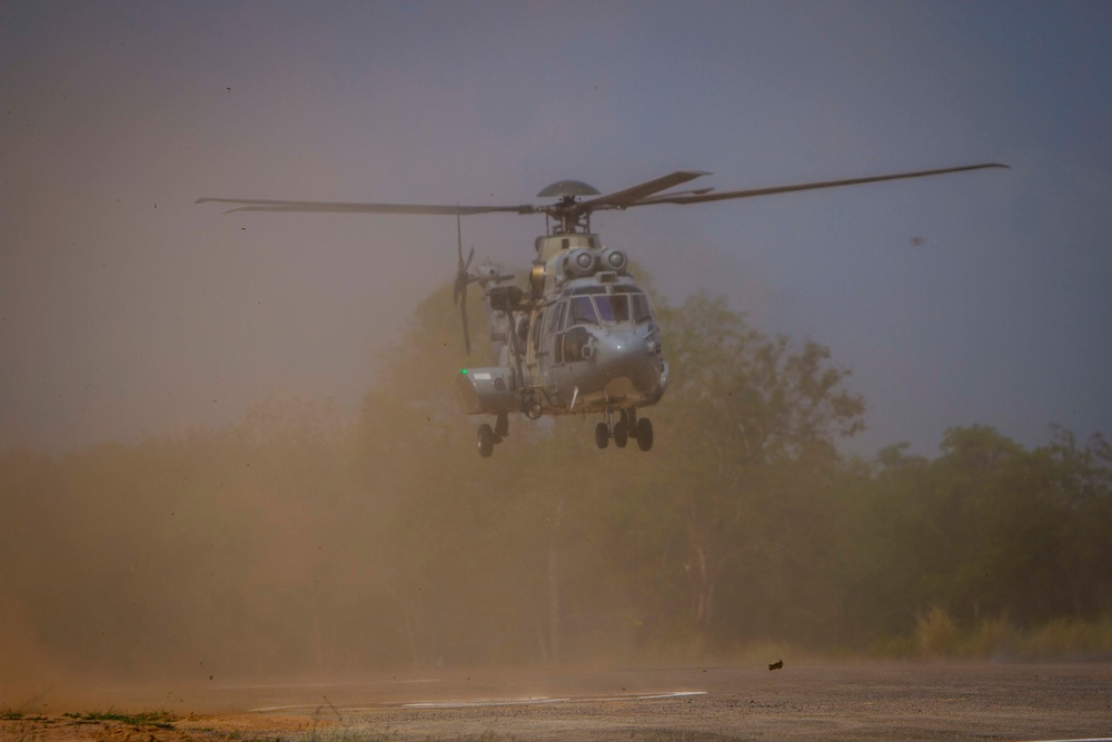 Cobra Gold 18: EC275 landing and display